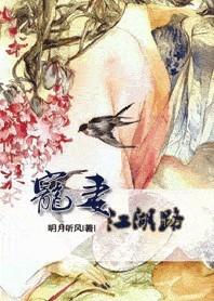 宠妻江湖路贴吧